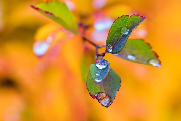 Pluies à l’Ouest, Soleil à L'Est