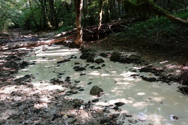 Un liquide blanc pollue la Brême entre Ornans et Scey-Maisières dans le Doubs. 