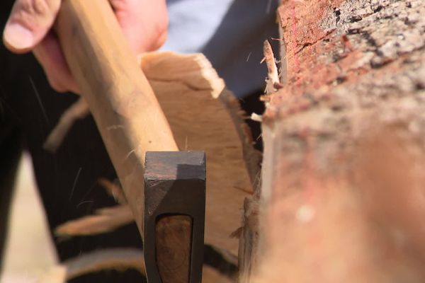 Sous le geste précis des charpentiers, les grumes ont été affinées jusqu’à obtenir des poutres parfaites, robustes car fendues dans le respect du fil du bois. Ci-dessus, une doloire, hache utilisée pour équarrir -rendre carré- à la main.