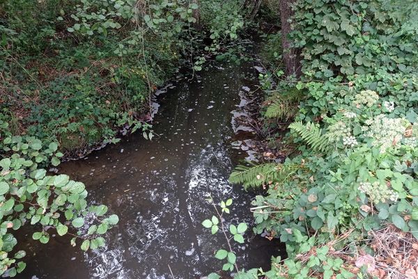 Une rivière polluée