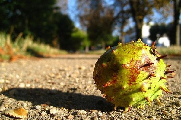 Début de l'automne