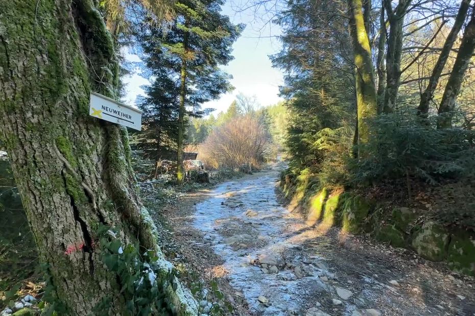 Un groupement forestier interdit l'accès à des chemins de randonnée, les marcheurs sont mécontents