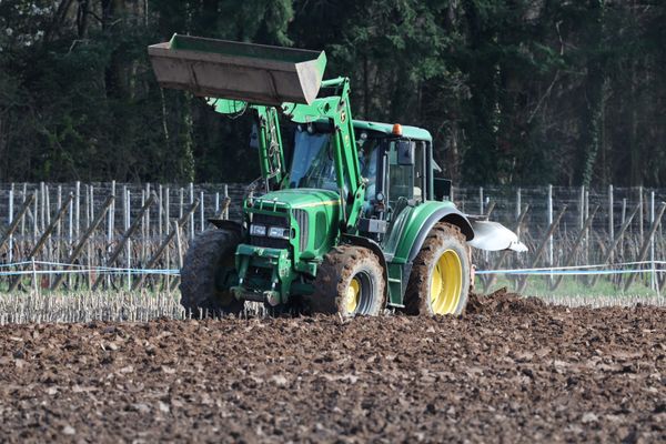 Un agriculteur, âgé d'une soixantaine d'années, a été retrouvé mort, mardi 25 juin 2024, à Saint-Benoît-de-Carmaux, dans le nord du Tarn. Il aurait été écrasé par son tracteur.