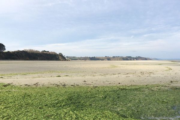 La plage d'Hillion ce 10 décembre 2016