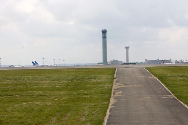 La chienne Amalka qui s'était échappée sur les pistes de l'aéroport Charles-de-Gaulle, retrouvée saine et sauve. (Illustration)