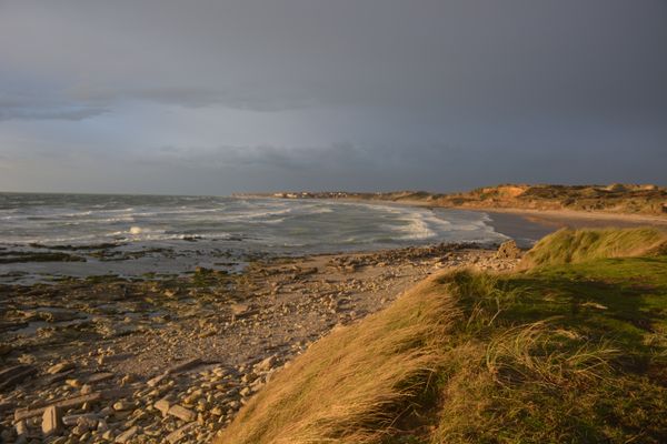 La découverte a été faite par un promeneur néerlandais sur la plage de la Pointe aux Oyes au nord de Wimereux (Pas-de-Calais), dimanche 9 juillet 2023.