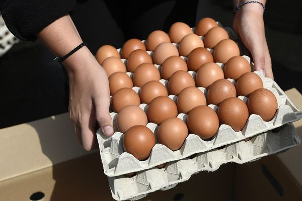 Les oeufs auraient été contaminés dès septembre 2016. 