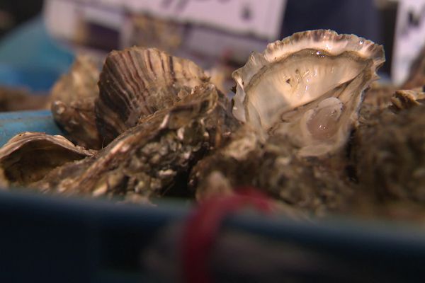 16 tonnes d'huîtres étaient prévues pour cette 40ème foire de Sardent en Creuse !