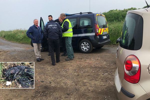 La gendarmerie a ouvert une enquête après la découverte d'un chien carbonisé à Equihen-Plage.