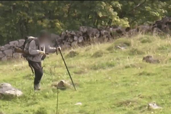 Les gardes-chasses ont été chargés d'observer les bouquetins avant l'abattage massif - 22 septembre 2015