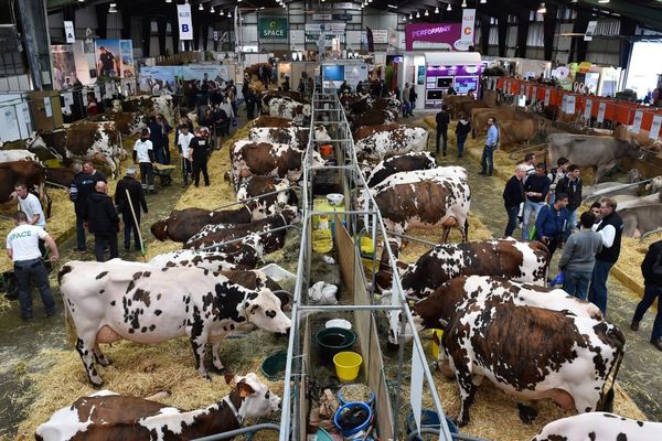 Foule au Space, le salon international des productions animales à Rennes - 12/09/2017