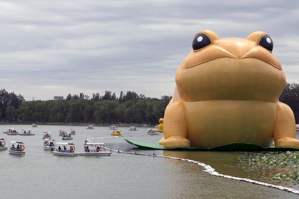 Pékin : la grenouille qui voulait se faire plus grosse que le... canard de Florentijn Hofman, par l'artiste chinois Guo Yong Rao