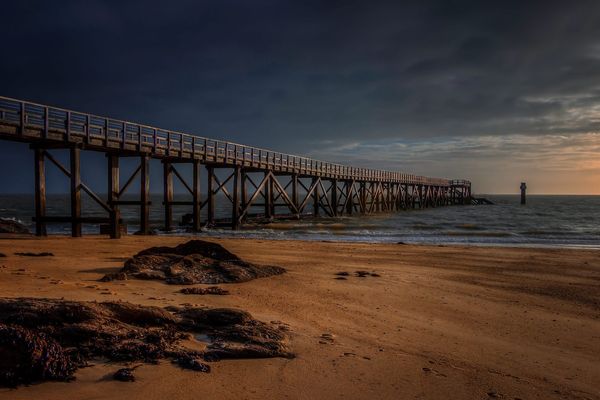 L'estacade du bois de la chaoze sur l'ile de noirmoutier