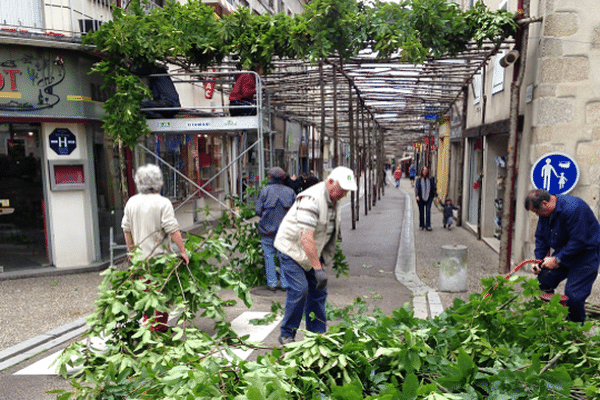 L'ancienne forêt de Comodoliac reproduite dans la rue Lucien Dumas de Saint-Junien