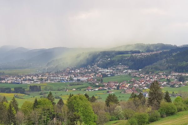 Les paysages du Haut-Doubs recouverts d'un nuage de pollen jaune