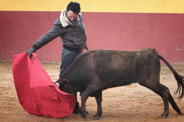 José Ortega Cano, 63 ans, prépare avec le plus grand sérieux le rendez-vous de Pontonx. Dimanche matin, dans le cadre de La Fragua, il tiente des vaches de Darré en compagnie de Juan Leal.