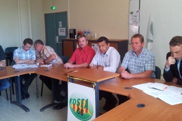 Xavier Beulin de la FNSEA et d'autres représentants des syndicats nationaux de la filière filières fruits et légumes sont venus de Paris pour rencontrer les producteurs du département afin de faire le point sur la situation économique. Perpignan le 31 juillet 2014.

