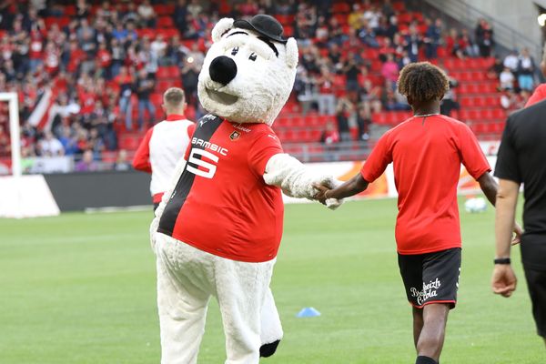 Illustration, Erminig, la mascotte du stade rennais