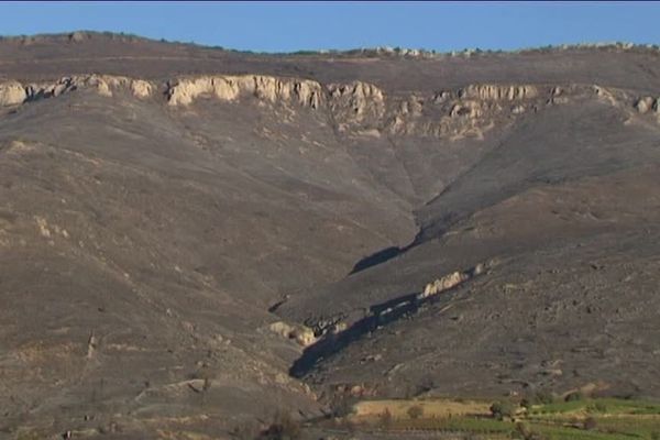 1 000 hectares détruits dans le massif des Corbières