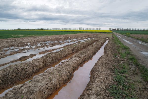 Céréaliers et maraîchers sont très inquiets après un mois de mai pluvieux