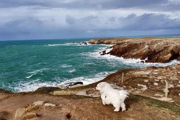 L'odeur suspecte a été ressentie notamment du côté de Quiberon