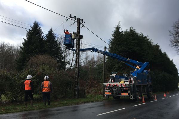 Des chutes d'arbres ont provoqué des coupures de courant (Archive).