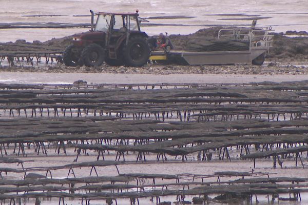 Depuis le 10 janvier, la zone de la Prée, à la Plaine-sur-Mer, est interdite de pêche, en raison de la présence de norovirus