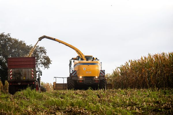 Une ensileuse est une machine agricole utilisée pour récolter et hacher le fourrage, comme l'herbe, le maïs ou les céréales afin de produire de l'ensilage qui permet aux éleveurs de subvenir aux besoins des bêtes.