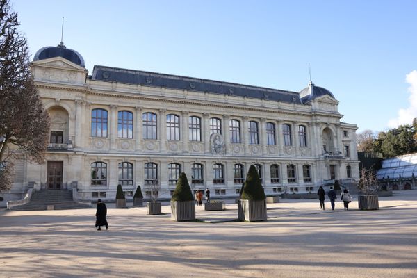 Le Muséum national d'Histoire naturelle, dans le cinquième arrondissement de Paris.