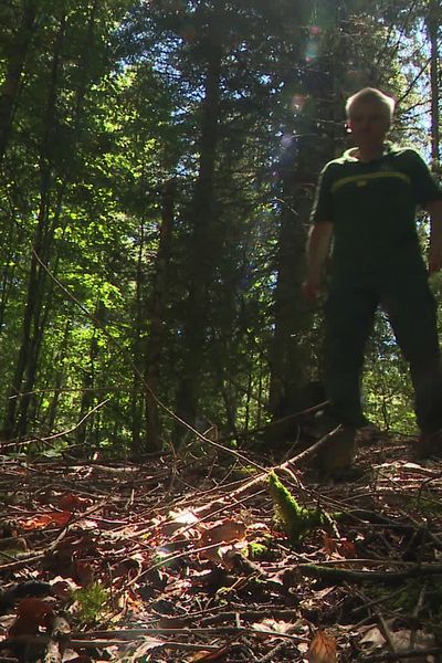 Rémy Leconte, garde forestier à l’ONF, lors d'une patrouille de prévention incendie dans le Vercors, le 9 août 2024.