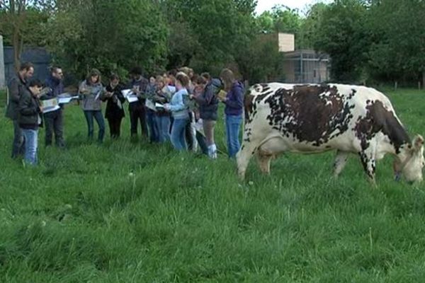 Les étudiants du lycée agricole du Robillard au travail, le premier établissement de ce type à avoir vu le jour en France, en 1963.