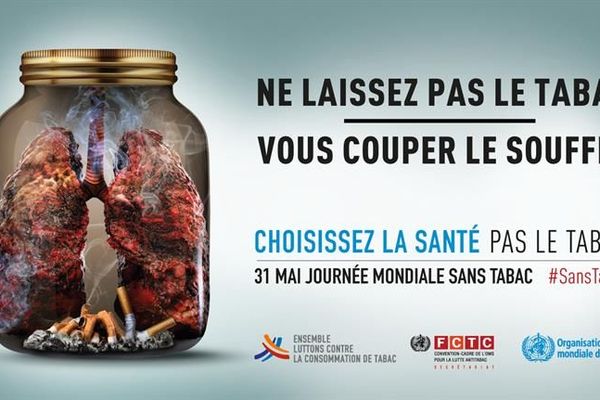 Organisée par l'Organisation Mondiale de la Santé