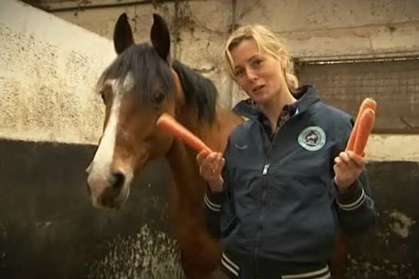 Pour ce numéro spécial équitation, Florent Turpin cède sa place à Emilie Flahaut