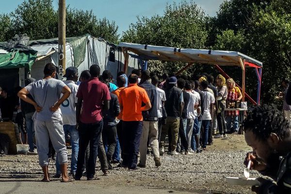 Une file de migrants à une distribution de repas dans la "Jungle" de Calais.