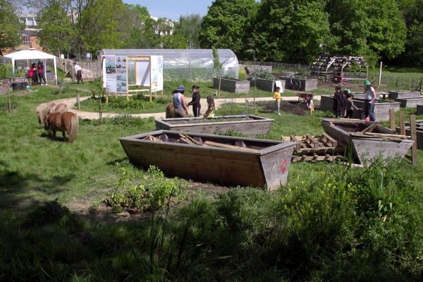 "Le potager des cultures" : la ferme urbaine de Rennes dans le quartier du Blosne