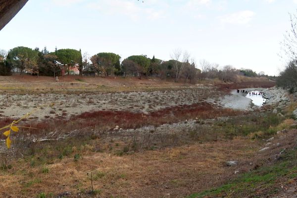 Rivesaltes (Pyrénées-Orientales) - l'Agly à sec - 4 janvier 2024.