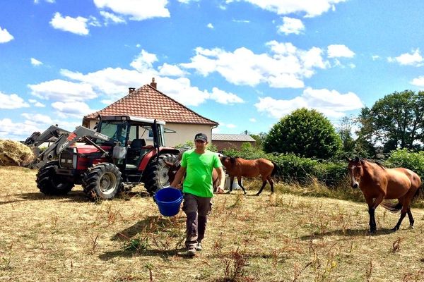 A Pionnat en Creuse Mathieu Tijéras remplace Isla Stafford pour les travaux de la ferme après son acouchement