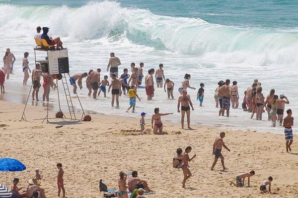 294 enfants se sont perdus sur les plages de Belgique depuis le début du mois de juillet avant d'être retrouvés.