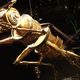 Des insecte géants confestionnés avec des instruments de musique hors d'usage. A l'occasion de ses 10 ans, le Musée des confluences propose notamment une installation spectaculaire. Des oeuvres inspirées d'insectes bien réels confectionnés à partir de grosses caisses, violons, archers, flûtes et autres trompettes hors d'usage.  Des créations visuelles et sonores, dont une sera réalisée devant le public entre le 18 et le 22 décembre. Exposition jusqu'au 5 janvier 2025.