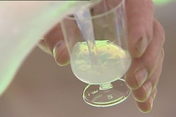 Pontarlier : la fée verte ou absinthe à l'honneur