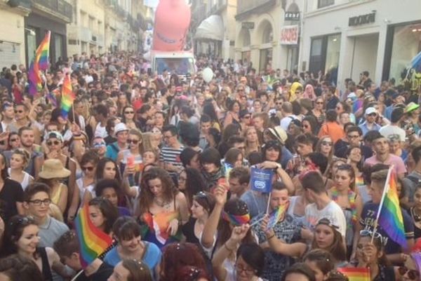 La 20ème Gay pride de Montpellier a fait le plein - 2014