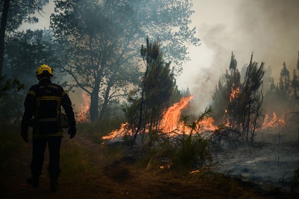 Durant l'été 2022, 30 000 hectares de forêt ont brulé en Gironde.