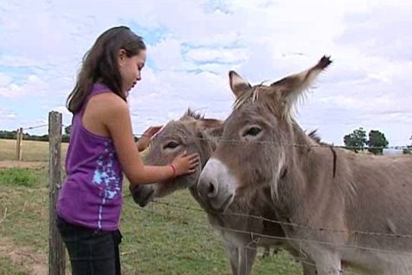 Caresser les ânes plutôt que jouer aux jeux vidéos, Claire ne s'en lasse pas pendant ses vacances à Charroux.