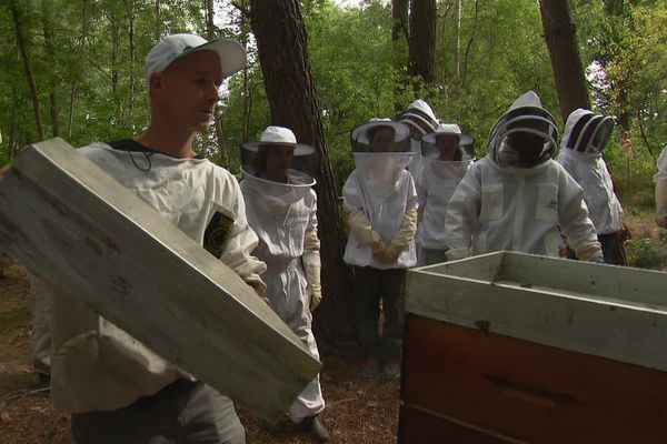 Près du Mans (Sarthe) ce samedi 22 juillet, une cinquantaine d'apprentis apiculteurs a appris à manipuler une ruche.