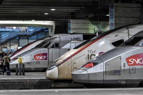 La ligne TGV Paris-Méditerranée ferme du samedi 9 au mardi 12 novembre 2024, pour des travaux de signalisation menés par SNCF Réseau.