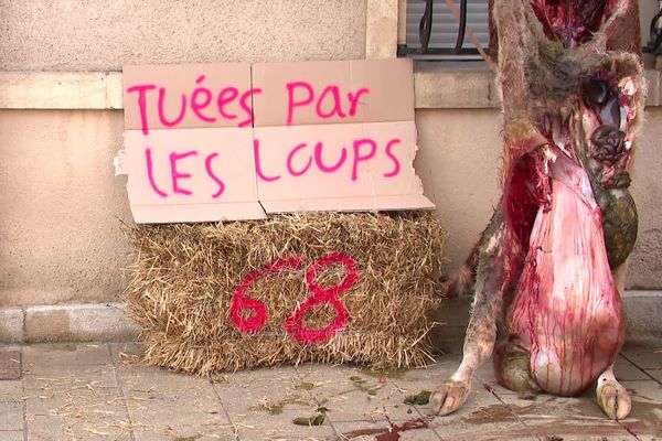 L'action "coup de poing" voulue par les agriculteurs a eu lieu ce samedi 9 novembre devant la sous-préfecture du Doubs à Pontarlier.