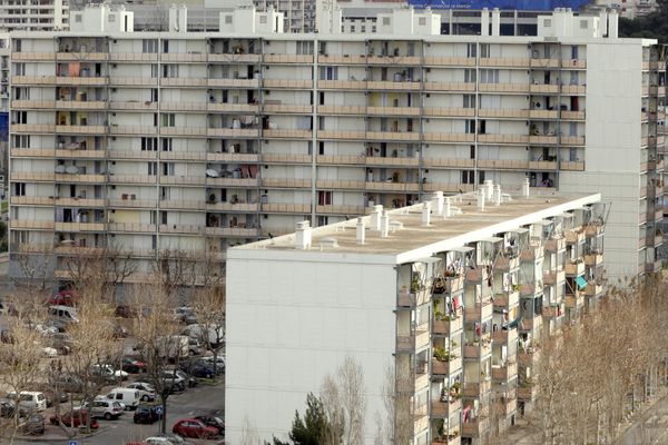 Les perquisitions ont eu lieu dans deux appartements de la cité Font-Vert à Marseille