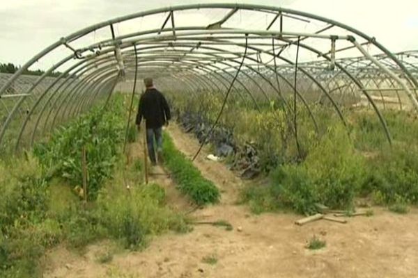 Un voleur de légumes a pu être identifié grâce à la caméra.