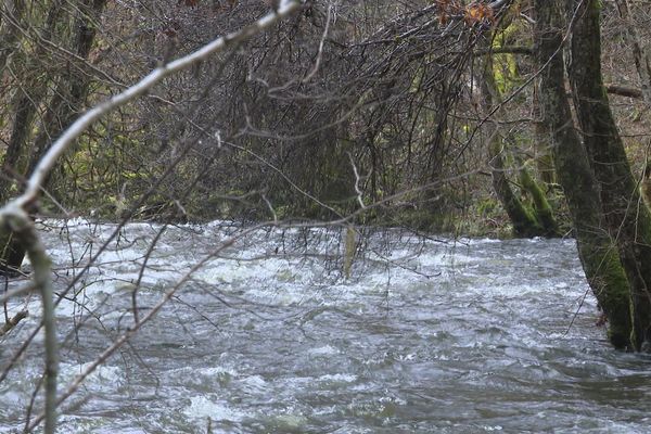 La saison de la pêche ouvre enfin ce samedi 9 mars. Mais si le débit des cours d'eau est satisfaisant, leur qualité, notamment en Corrèze, laisse craindre une diminution des poissons.