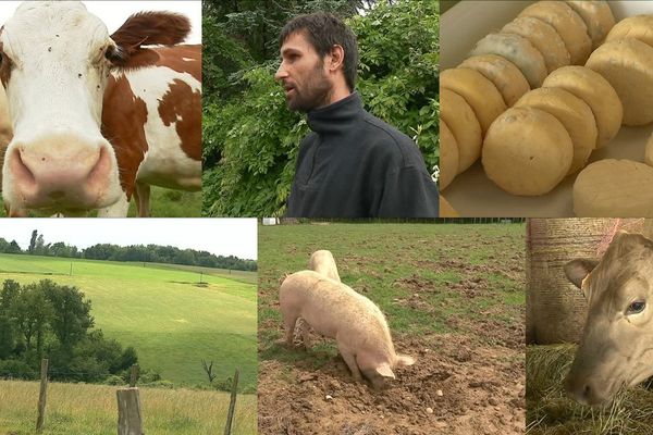 Cette ferme de Montseveroux s'est lancée en agriculture biologique il y a trois ans.